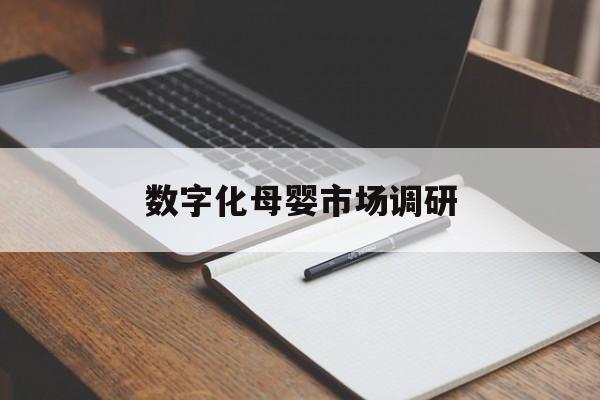 漳州市数字化母婴市场调研(数字化母婴市场调研报告)