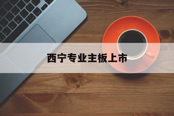 漳州市西宁专业主板上市(西宁有什么上市公司)